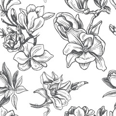 Vector illustration sketch - card with flowers magnolia. Pattern with flowers.