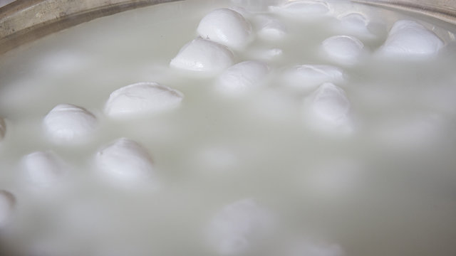Dettaglio di mozzarelle di bufala a bagno in un recipiente di acqua e latte. I latticini si trovano in una fabbrica per la produzione di prodotti caseari e sono pronti ad essere imbustati e venduti.