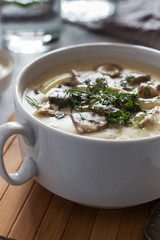 Mushroom cream soup close up