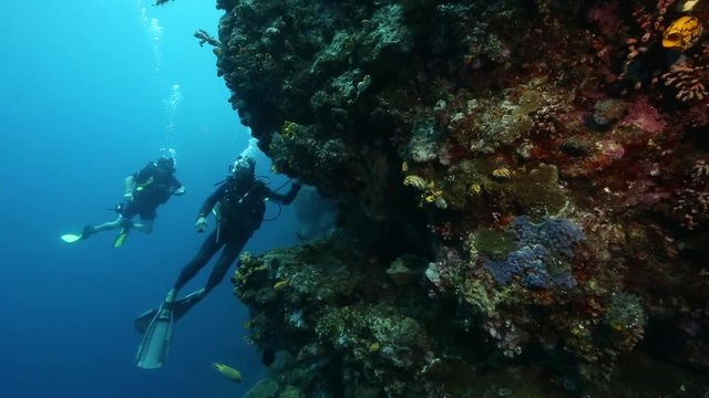 Scuba divers exploring coral reef wall at Bunaken Island, Sulawesi, Indonesia 
