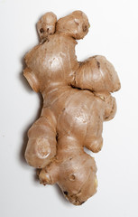 Ginger root on white background