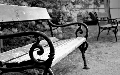 Black and white bench in the park