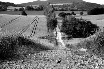 Black and white path between fields