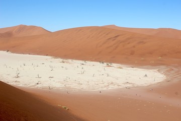 Fototapeta na wymiar Desert du Namib