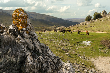 Sardegna, paesaggio di montagna nei pressi di Orgosolo