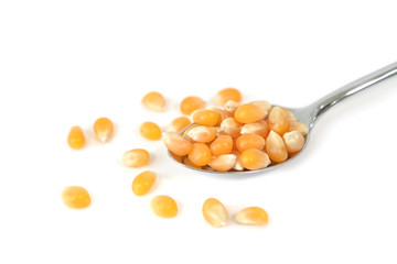  Corn kernel on white background - isolated