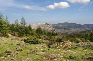 Fototapeta na wymiar Sardegna, campagne di Orgosolo 