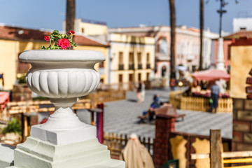 View of an ornamental flower pot in an outdoor manger,  at Christmas time.