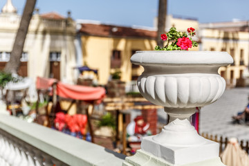 Ornamental flowerpot next to an outdoor manger