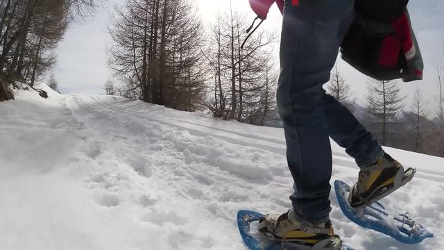 Trekking con ciaspole sulla neve