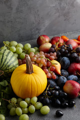 Obraz na płótnie Canvas Autumn harvest concept. Seasonal fruits and vegetables on a stone tabletop, top view