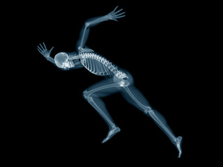 3d rendered medically accurate illustration of a sprinter x-ray