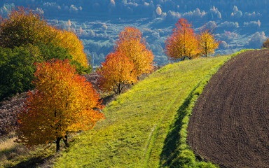 Hrinova autumn beautiful Slovakia landscape traditional agriculture farming © losonsky