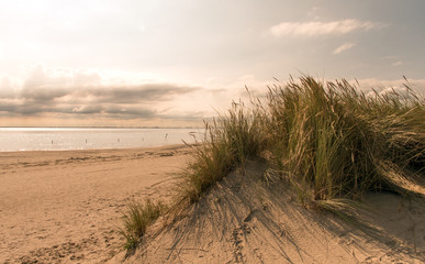 Fototapeta na wymiar Nordsee, Strand auf Langenoog: Ruhe am Meer, Dünen, Natur, Entspannung, Erholung, Ferien, Urlaub, Meditation :)