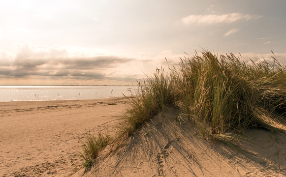 Nordsee, Strand auf Langenoog: Ruhe am Meer, Dünen, Natur, Entspannung, Erholung, Ferien, Urlaub, Meditation :) © doris oberfrank-list