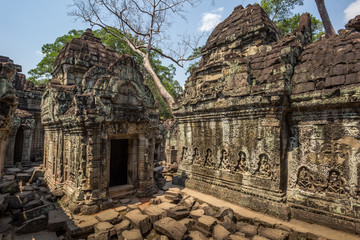 Naklejka premium Angkor Wat Temple, Siem reap, Cambodia