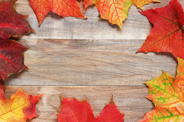 Naklejka na ściany i meble Wooden background with bright autumn leafs of maple