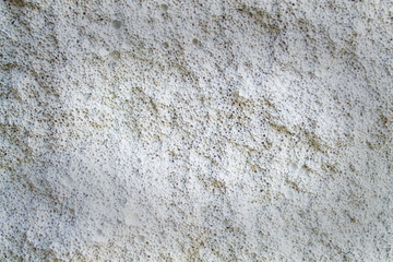 Old white cement wall texture, background