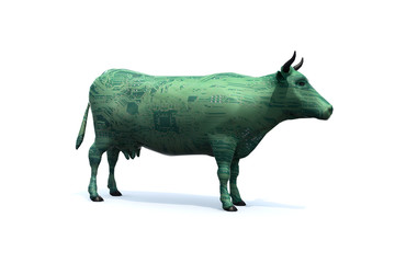 Cow that is colored like an electronic circuit