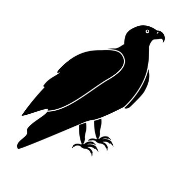 Eagle black icon .