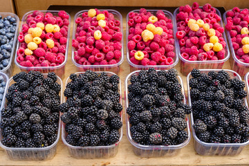 blackberries and raspberries in boxes