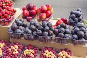 berries and fruits in plastic boxes. plums, peaches, raspberries, strawberries