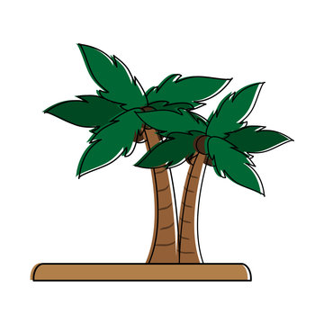 palm trees on land icon image vector illustration design 