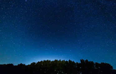 Naklejka premium Starry sky over the forest.