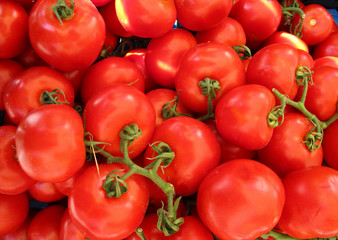 tomatoes