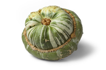 Fresh heirloom green Turban squash