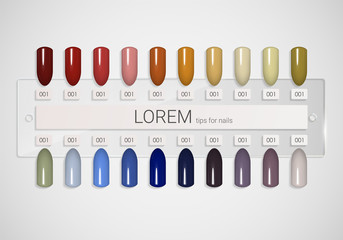 Tips. Set of false nails for manicure. Varnish color palette for nail extension. Artificial nails on transparent basis.