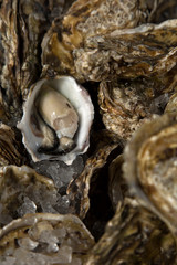 Open oyster to taste