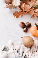 Fall season flatlay in pastel colors for fashion and beauty, lifestyle bloggers, announcements, ads. Wool scarf with fringe, dry leaves, acorns, little pumpkin, pear. Copy space 