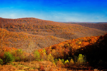 Arkansas Fall Color