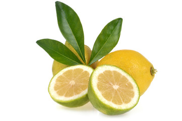 Citron vert coupé et citron jaune
