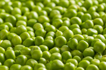 Green peas kernels