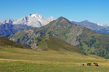 Fototapeta na wymiar Paysage de montagne avec glacier dans les Dolomites en Italie