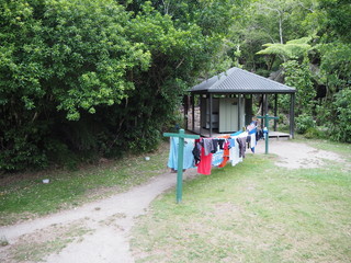 W&auml;scheleine im Campinglager im Abel Tasman National Park, Neuseeland