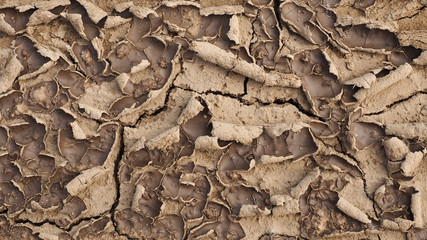 Texture dry cracked earth