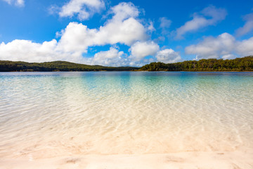 Fototapeta na wymiar Crystal clear water at Lake Mckenzie, Fraser Island, Sunshine Coast, Queensland, Australia.