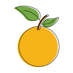 orange fruit icon image vector illustration design