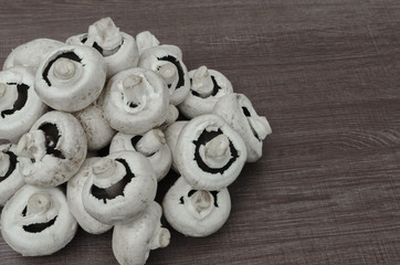 Landsacape view of a small pile of  mushroooms with copy space around the edges