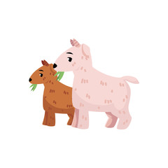 Obraz na płótnie Canvas vector flat cartoon countryside farm rural animals scene. White goats with goatling grazing green grass. Isolated illustration on a white background.