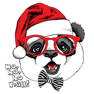 Panda portrait in glasses and with a red Santas hat. Vector illustration.