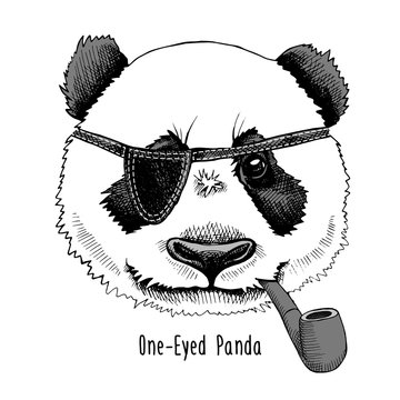 Panda pirate portrait with a tobacco pipe. Vector illustration.
