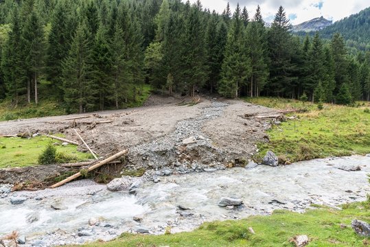 145 Best Muren Images Stock Photos Vectors Adobe Stock