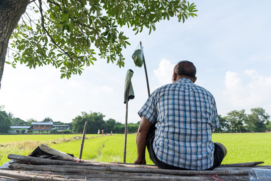 Back Of A Farmer Sitting With A Fishing Rod In The Green Rice Fields And Cloudy