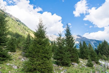 Weißpriachtal im Lungau mit Blick auf die Berge, Österreich