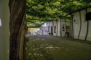 Pueblo parras de uva