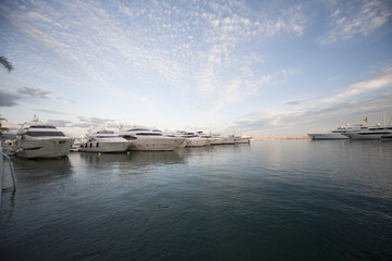 Fototapeta premium Puerto Banús Marbella